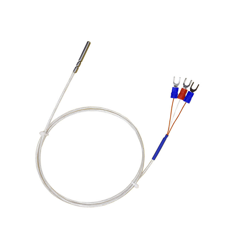 WZP-035 PT100 Sonda 5 × Cable de 35 mm Termómetro de resistencia al platino de 1–20 m RTD Sensor de temperatura anticorrosión impermeable resistente a la corrosión