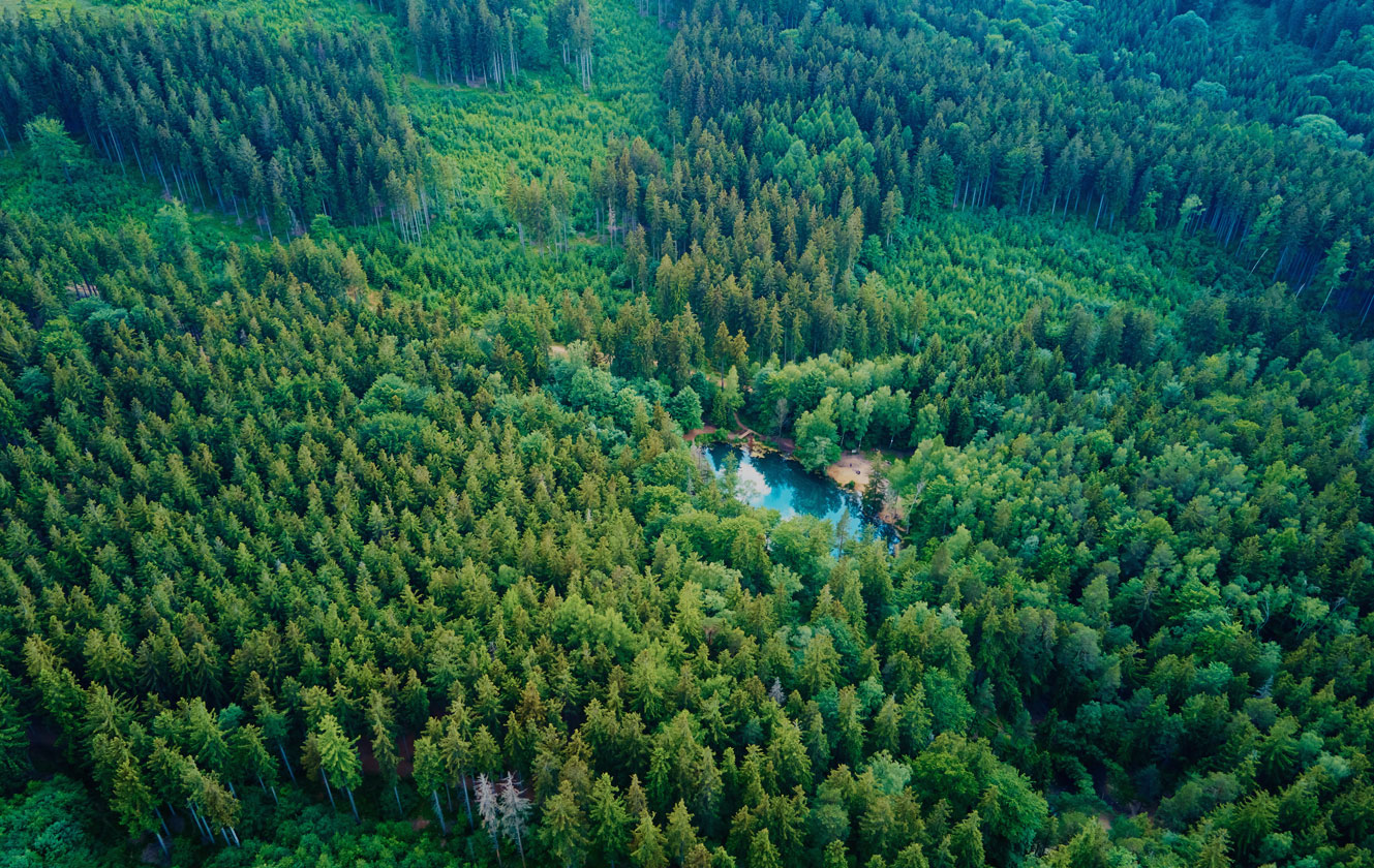 Jiangsu Zhaolong Electrics Co., Ltd.